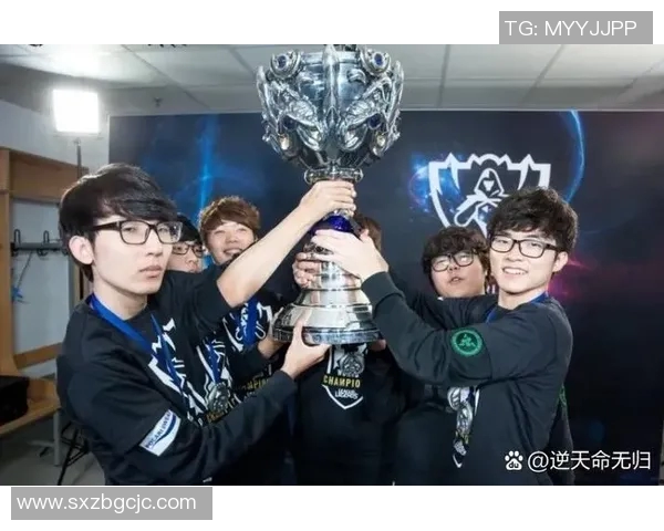 赛后分析：EDG与RNG对决中的战术运用与团队协作经验分享